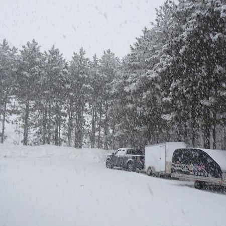 Country Villa Motel Tilden Екстериор снимка